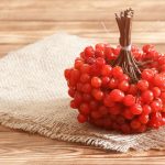 Як зберігати калину на зиму
